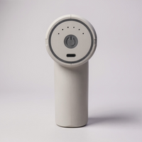 Mini massage Gun